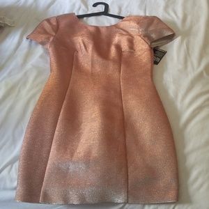 Iridescent Express Dress